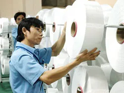 Công ty sợi Thế Kỷ sản xuất sợi sơ dài thay thế nhập khẩu