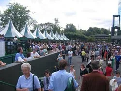 Venus chứng tỏ bản lĩnh ảnh 3