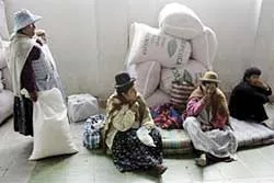 Bolivia chuyển từ trồng coca sang lương thực