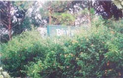 Làm sao thấy bảng “bảo vệ rừng”?