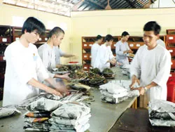 Hành thiện cứu người