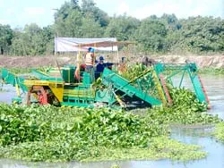 Sáng chế ra đời từ...chuyến đi chơi
