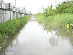“Con đường đau khổ” vào khu tái định cư Cảng sông Phú Định vẫn chưa xong