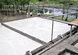 Vụ xả nước thải ô nhiễm ra môi trường của Vedan: Phát hiện thêm hàng loạt sai phạm mới
