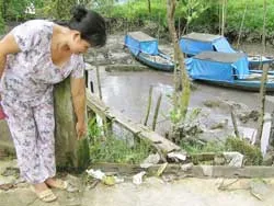 Đồng Nai với hiểm họa từ những “đại” Vedan