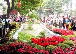 Truyền thống và đậm nét hiện đại ảnh 2 Truyền thống và đậm nét hiện đại ảnh 2