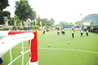 Khi đá "phủi" lên đời ảnh 2