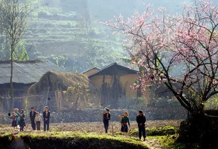 Xuân về trên cao nguyên Đồng Văn (Hà Giang). Ảnh: Minh Điền Xuân về trên cao nguyên Đồng Văn (Hà Giang). Ảnh: Minh Điền