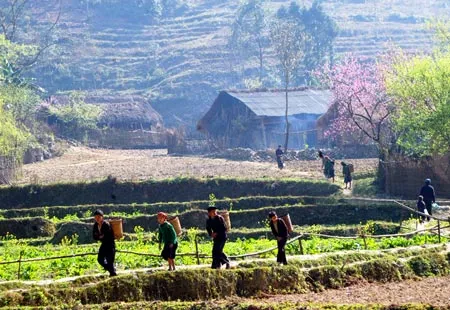 Đường về bản (Đồng Văn, Hà Giang). Ảnh: Minh Điền Đường về bản (Đồng Văn, Hà Giang). Ảnh: Minh Điền