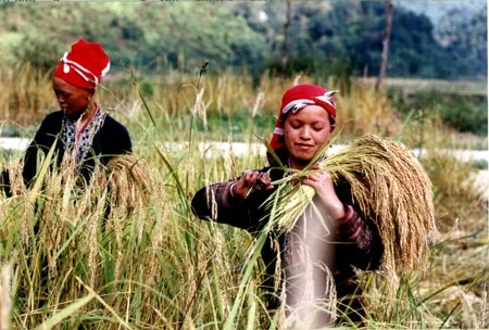 Ảnh: Minh Điền Ảnh: Minh Điền