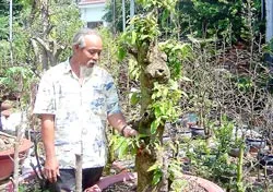 Ông Giàu làm giàu