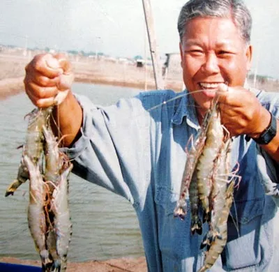 Tôm tăng giá: Nhà máy “kêu trời”, nông dân nuối tiếc ảnh 2 Tôm tăng giá: Nhà máy “kêu trời”, nông dân nuối tiếc ảnh 2