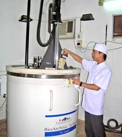 Ngân hàng máu cuống rốn - Của... để dành quý giá