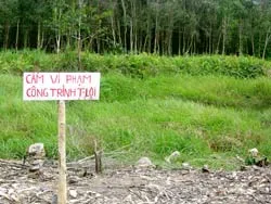 TP Hồ Chí Minh: Các dự án sân golf triển khai rất chậm