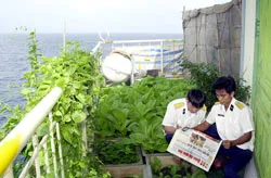 Đọc báo ở nhà giàn