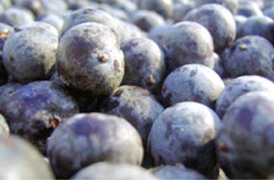 Acai và cuộc “chinh phạt” ngoạn mục