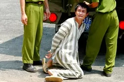Nóng lên từ hơi thở cuộc đời ảnh 2 Nóng lên từ hơi thở cuộc đời ảnh 2