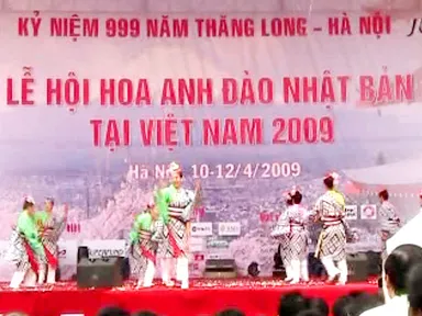 Lễ hội hoa anh đào 2009 tại Hà Nội: Hoa ít - người nhiều ảnh 3 Lễ hội hoa anh đào 2009 tại Hà Nội: Hoa ít - người nhiều ảnh 3