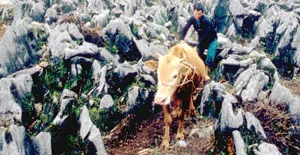Nơi đỉnh trời đá khát