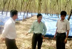 Để nông dân chịu học và học tốt