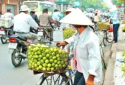 Cần bảo vệ bữa ăn hàng ngày của người dân