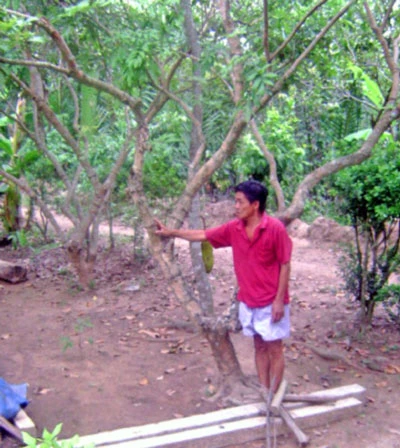 Cù lao Thới Sơn (Tiền Giang) hoang tàn vì “quy hoạch chồng quy hoạch”