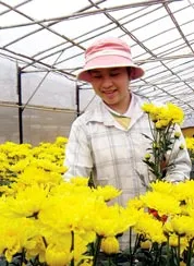 Hoa Đà Lạt vươn tới những thị trường mới