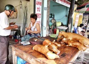 Hanoi people still consume dog meat that may have cholera bacteria (Photo: Xaluan.com) Hanoi people still consume dog meat that may have cholera bacteria (Photo: Xaluan.com)
