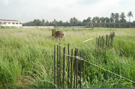 Đất bỏ hoang, trò học “ké”