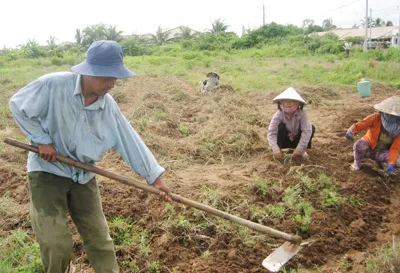 Nỗi buồn… Vĩnh Châu