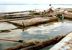 Cộng tác viên - “Điểm tựa” của phóng viên điều tra