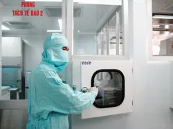 Bảo hiểm sinh học cho con - Thủ tục và phí dịch vụ