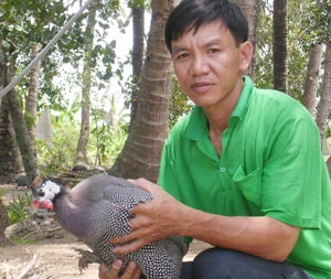 Tỷ phú gà sao