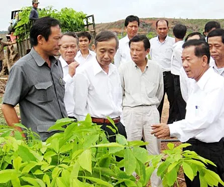 Chương trình phát triển cao su tại Campuchia: “Vướng” nhiều thứ