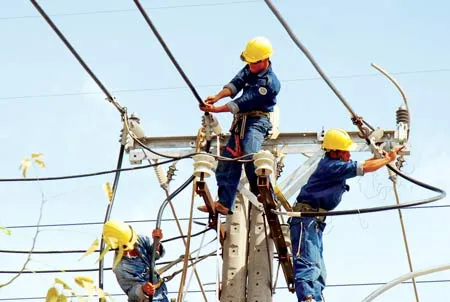 Giá điện phải theo cơ chế thị trường