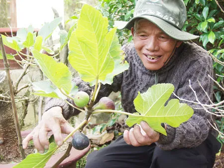 Chủ nhân "thung lũng hoa đào" Đà Lạt qua đời