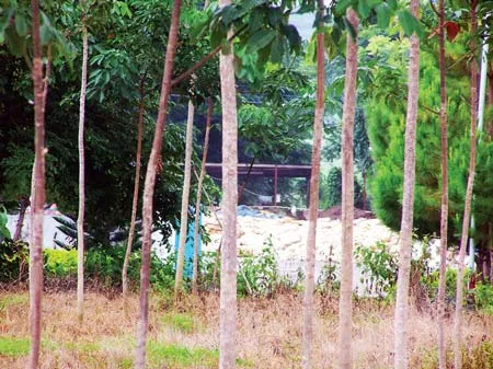 Khu dân cư... ngạt thở