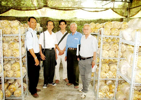 Hội đồng khoa học do Sở Khoa học Công nghệ chủ trì xuống kiểm tra việc trồng nấm Thượng Hoàng tại Trung tâm nghiên cứu Linh chi và Nấm dược liệu. Ảnh: C.Đ.T. Hội đồng khoa học do Sở Khoa học Công nghệ chủ trì xuống kiểm tra việc trồng nấm Thượng Hoàng tại Trung tâm nghiên cứu Linh chi và Nấm dược liệu. Ảnh: C.Đ.T.