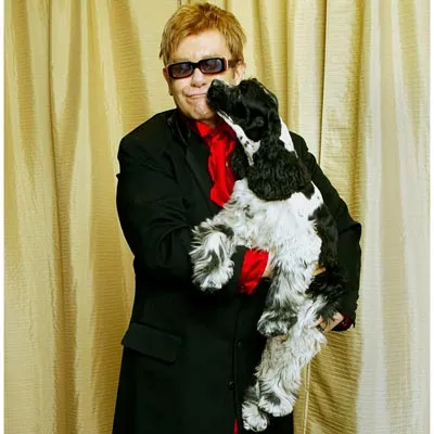 Danh ca Elton John cùng cún cưng mang tên Arthur John Danh ca Elton John cùng cún cưng mang tên Arthur John