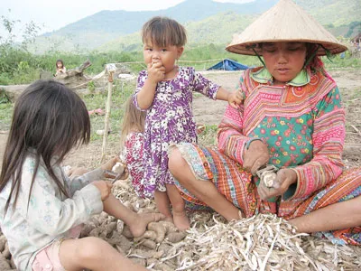 Những đứa trẻ lớn lên trên nương rẫy không biết nổi một con chữ. Những đứa trẻ lớn lên trên nương rẫy không biết nổi một con chữ.