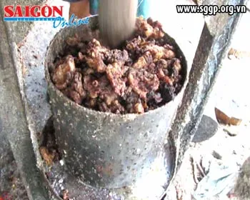 Từ các lò rán mỡ Hòa Vang: Mỡ động vật đi đâu? ảnh 2 Từ các lò rán mỡ Hòa Vang: Mỡ động vật đi đâu? ảnh 2