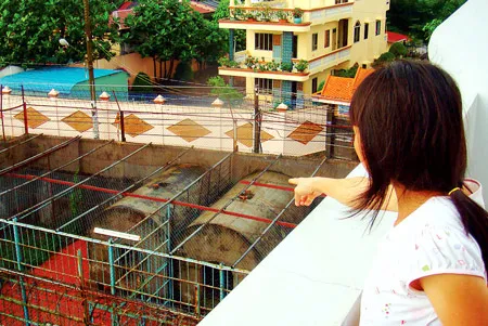 Khi hổ dạo... nhà dân