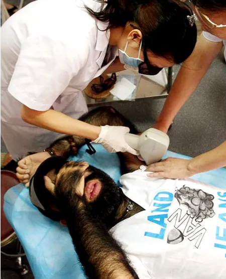 Tẩy lông cho người đàn ông nhiều lông nhất thế giới
