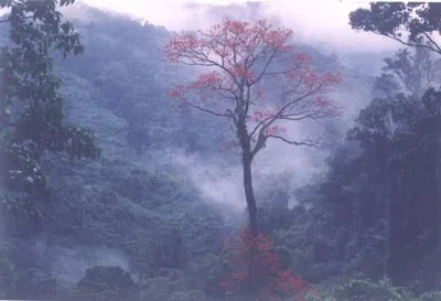 Ảnh đẹp