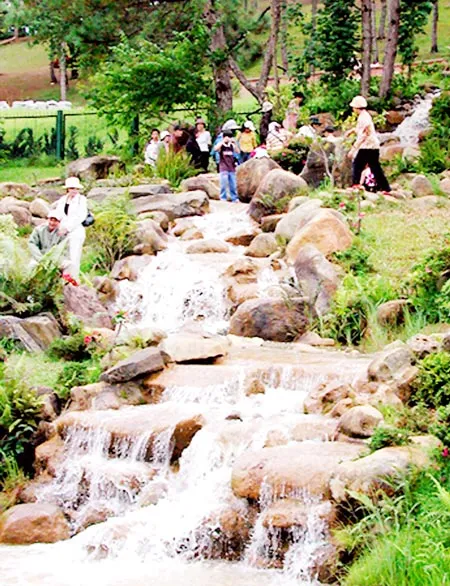 Giá rẻ cho tour nội: Cần chiến lược dài hơi