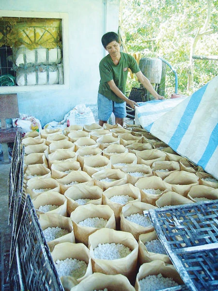 Làng bột Tân Phú Trung