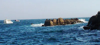 Khám phá Vĩnh Hy - Nơi rừng và biển giao hòa