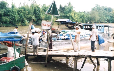 Nỗi oan hàng xáo