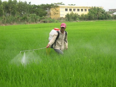A farmer sprays toxic pesticides without face masks, gloves or boots A farmer sprays toxic pesticides without face masks, gloves or boots