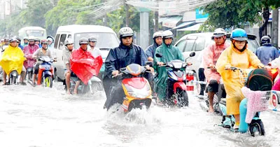 TP Hồ Chí Minh - Biến đổi khí hậu đã hiển hiện